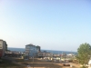 [photo]