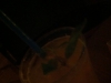[photo]
